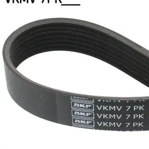 SKF Keilrippenriemen VKMV 7PK1954 Super-Preis