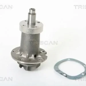 Knallerangebot TRISCAN Wasserpumpe 8600 23980