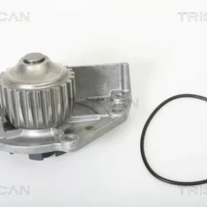 Solange Der Vorrat Reicht TRISCAN Wasserpumpe 8600 17963