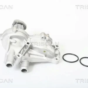 Aktuell TRISCAN Wasserpumpe 8600 29003